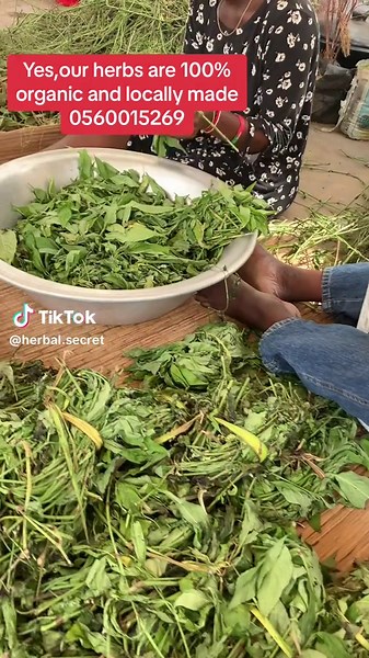 Discover Organic Herbal Remedies for Self-Healing