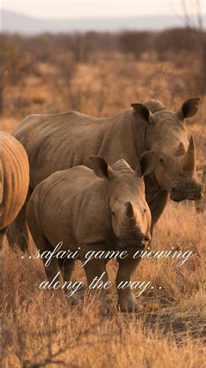 Rovos Rail Pan-sub-saharan journey #greatestafrica #africa #luxuryrail