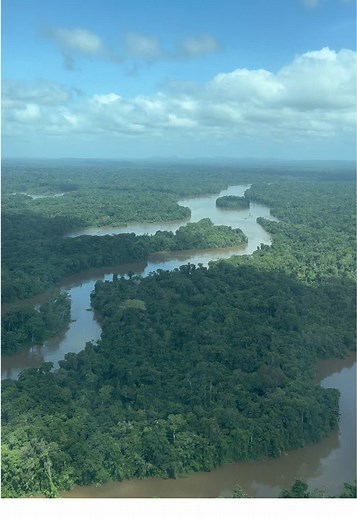 Exploring Suriname's Lush Rainforest from Above