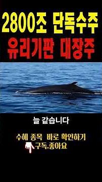 [주식추천] 삼성, SK하이닉스가 아니었다 유리기판 진짜 대장주 최초 상용화 세계 1위 이기업 #유리기판관련주 #유리기판대장주 #유리기판#유리기판#유리기판관련주#유리기판대장주