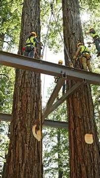 Floating Platform Treehouse Build | Hidden Support Floating Treehouse Construction Timelapse
