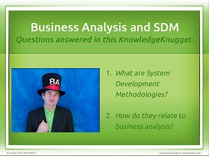 Business Analysis and System Development Methodologies (SDM)