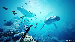 Beyond Blue Review - Beyond the Shallows, Into the Blue