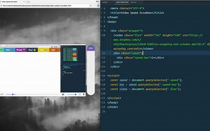 28 - Video Speed Controller