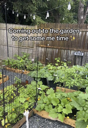 Enjoying Peaceful Moments in My Garden