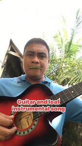 Leaf musician #Cover #leafmusician #musicalinstrumentslover #musiclover #TopFans #ForGodsGlory #hymn | Leaf Musician