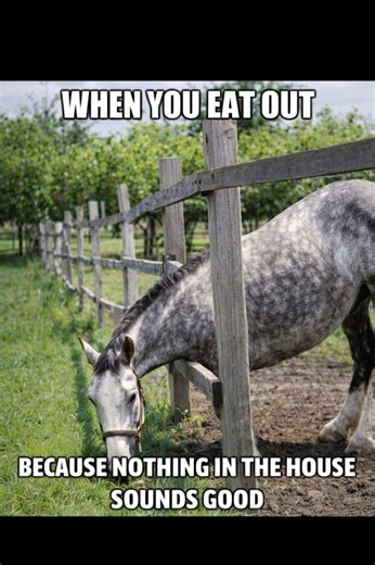 Eating out!! | Horse Sense