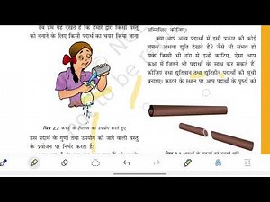 Class 6 Science Chapter 2 Hindi Medium |वस्तुओं के समूह बनाना ? पाठ -2 | ncert science chapter two |