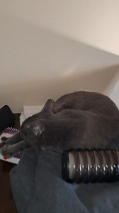 Caitlin Walker on Reels