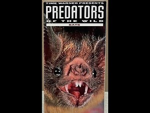 Predators of the Wild: Bats (VHS full documentary)