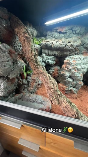 15 hours of work but worth it. Hopefully he’ll like it🤞🦎 #finishedproduct #DIY #beardeddragon #reptile