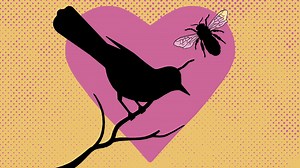 What Is This ‘Bird Theory’ Trend Going Viral on TikTok?