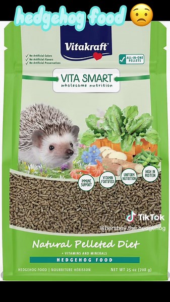 Cheaper Alternatives for Hedgehog Supplies