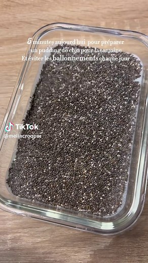 Pudding de Chia : Recette Anti-Ballonements