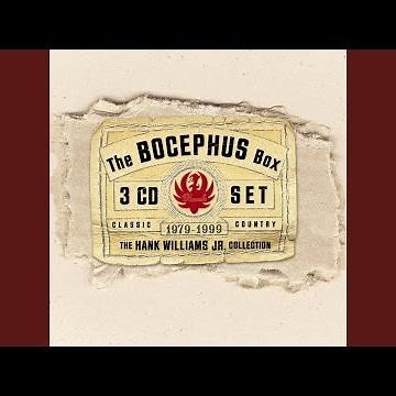 All My Rowdy Friends (Have Settled Down) (Live Solo Version)