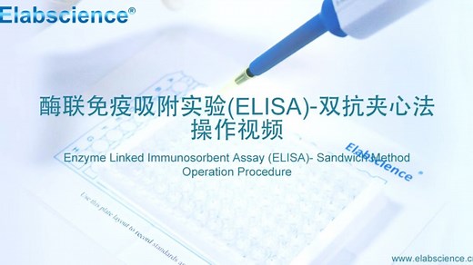 双抗体夹心法ELISA操作视频