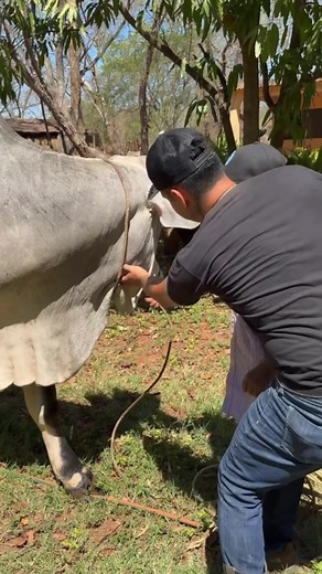 #foryour #typp #fypage #paratii #ypシ | toros