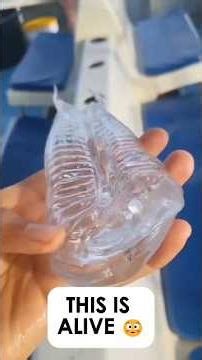 This "Alien Jelly" Is Actually Alive #Shorts
