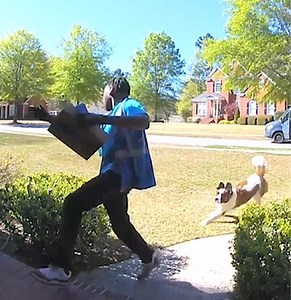 Did someone order a fail?! 😂 | America's Funniest Home Videos