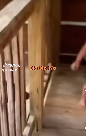 Can I Pet That Dog Compilation - Hilarious Reels Video