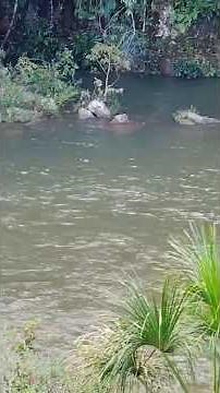 Sete Quedas Waterfall, Rio Verde, Mato Grosso do Sul State