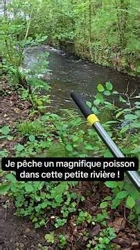 I catch a magnificent fish in this little river! #fishing #fishing