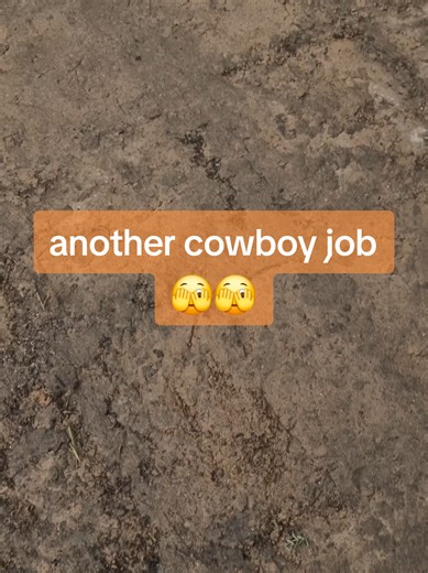 Fixing a Cowboy's Wild Mistake