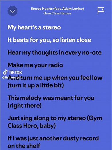 My Heart's A Stereo: Sing Along with Gym Class Heroes