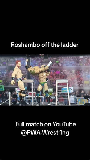 Roshambo off the ladder #pwa_wrestling #wrestling #aew #youtube #wwe #royalrumble
