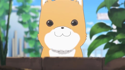 【艾莉|osu!】fc了手速狗！光剑健身14个半月 Hank's Back [Xenon's Extra]  HDDT