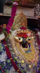 17K views · 2.1K reactions | The history of the camera spans several...