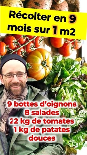 Comment associer oignons de printemps et tomates d’été ?