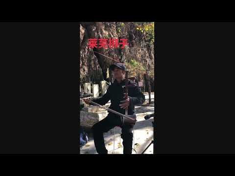 Da huqin 大胡琴 (vertical fiddle) used in Laiwu bangzi 莱芜梆子 opera from Jinan 济南市, Shandong 山东省, China