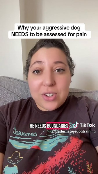 Understanding Chronic Pain in Dogs for Better Training Solutions