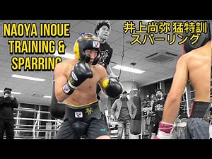 井上尚弥 激しいトレーニングとスパーリング | Naoya Inoue Intense Training and Sparring | Pro Punch Sports TV