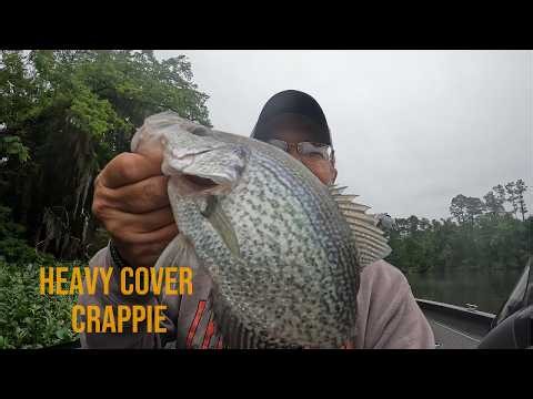 Heavy cover CRAPPIE!! Short trip