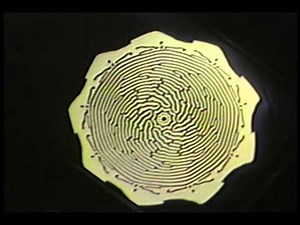 Space-Time Dynamics in Video Feedback