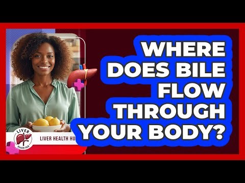 Where Does Bile Flow Through Your Body?