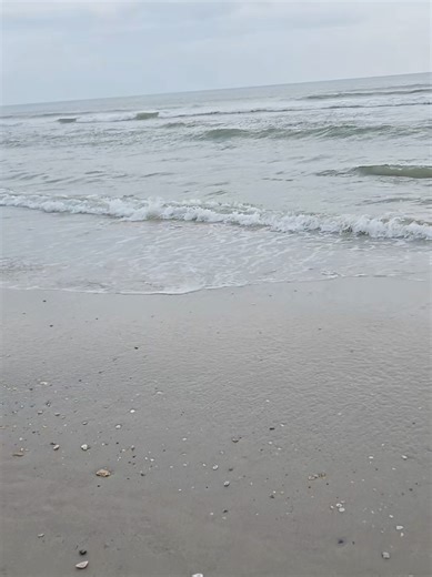 #florida #blessed #beach #viralvideo