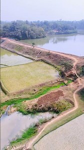 Start up | DJI NEO ​⁠‪@DJI‬ #dji #drone #flying