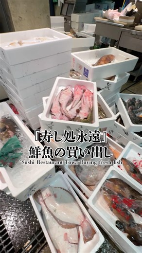 寿し処永遠鮮魚の買い出し“Sushi Restaurant Towa"Buying fresh fish #sushi #japanesefood #food#japan#fish