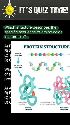 Protein structure