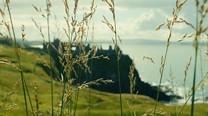 Castle, Castle Ruins, Waves