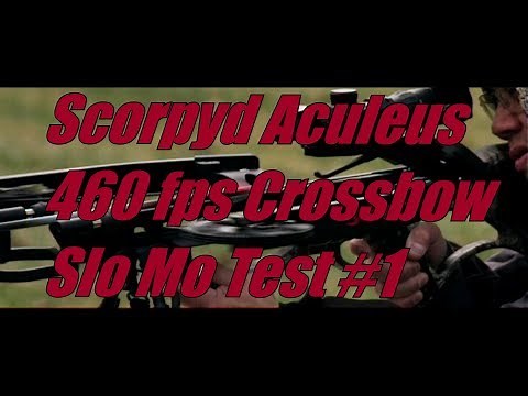 Scorpyd Crossbows Aculeus 460 fps High Speed Video, Test #1