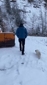 229K views · 2.5K reactions | Fresh dusting last night, just enough to cold start the Unimog ❄️ More at https://www.instagram.com/marshyguard/ ☃️ #unimog406 #unimog #winter #dieseltrucks #mercedesbenztrucks #unimogcommunity | Unimog Community - Alles rund um den Unimog & MB-trac | Facebook