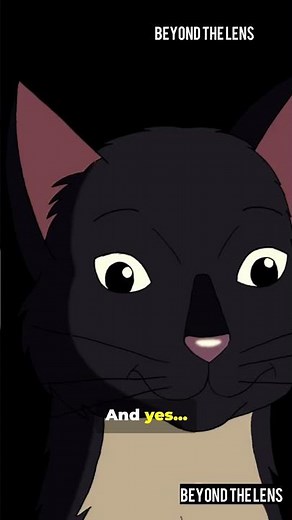 Cat Body Language Explained 🐾 Every Tail Flick, Blink & Meow Decoded!