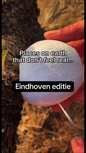 Top Places to Visit in Eindhoven | Tongelre, Stratum, Woensel & Strijp