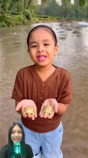 Helping the Upside Down Turtle 🐢