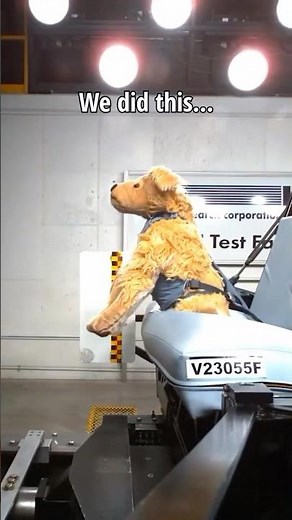 Crash-tested harness built with strength-rated hardware 🚗
