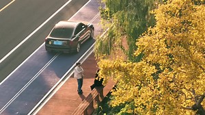 人间十一月，溢满温柔；有落叶的挽留，也有浅冬的等待 #摄彩大赏